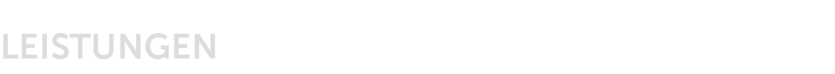 leistungen_icon-W